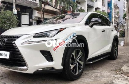 Lexus NX 300 2017 - Màu bạc