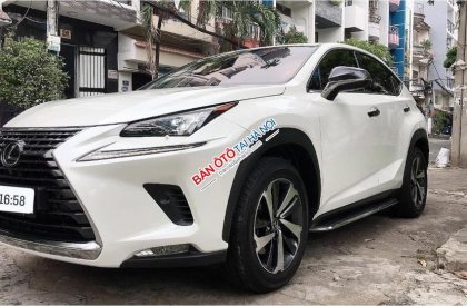 Lexus NX 300 2017 - Xe model 2018, màu trắng