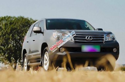 Lexus GX 460 AT 2010 - Bán ô tô Lexus GX 460 AT năm sản xuất 2010, màu xám, nhập khẩu