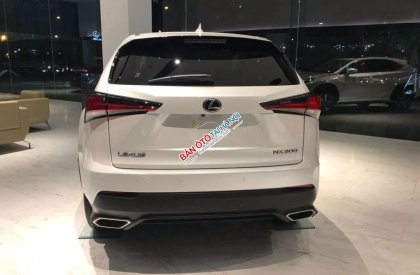 Lexus NX 300 2021 - Bán ô tô Lexus NX 300 năm sản xuất 2021, màu trắng