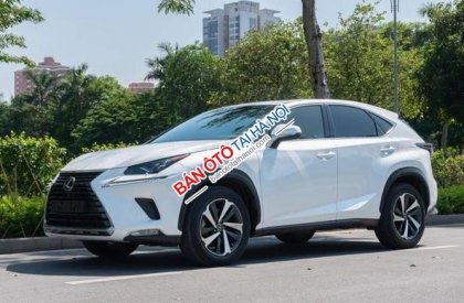 Lexus NX 300 2017 - Xe màu trắng