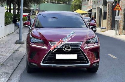 Lexus NX 300 2018 - Màu đỏ, xe nhập