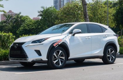 Lexus NX 300 2017 - Màu trắng, nhập khẩu nguyên chiếc đẹp như mới