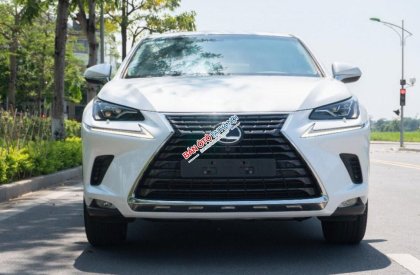 Lexus NX 300 2017 - Màu trắng, xe nhập