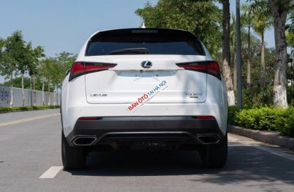 Lexus NX 300 2017 - Màu trắng, nhập khẩu nguyên chiếc đẹp như mới