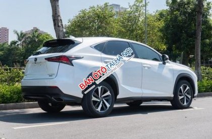 Lexus NX 300 2017 - Xe màu trắng