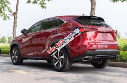 Lexus NX 300 2018 - Màu đỏ, nhập khẩu, chính chủ