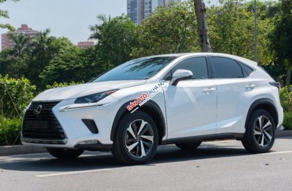 Lexus NX 300 2017 - Màu trắng, xe nhập