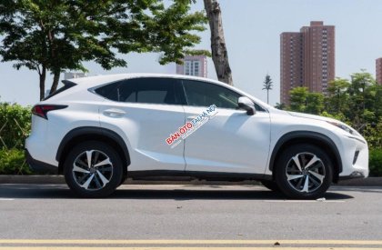 Lexus NX 300 2017 - Màu trắng, xe nhập