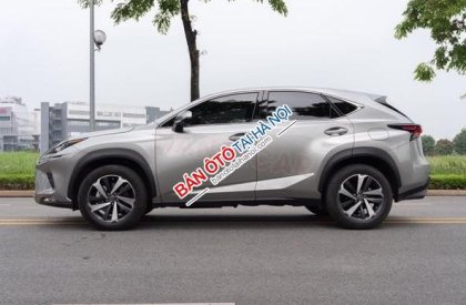 Lexus NX 300 2020 - Màu bạc, nhập khẩu nguyên chiếc