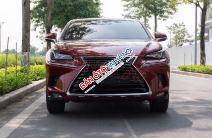 Lexus NX 300 2018 - Màu đỏ, nhập khẩu, chính chủ