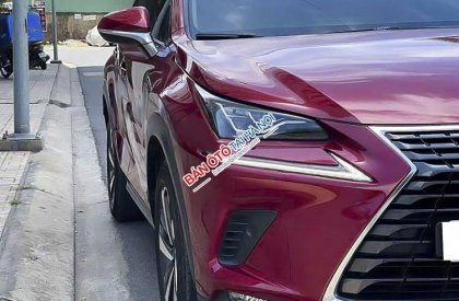 Lexus NX 300 2018 - Màu đỏ, xe nhập