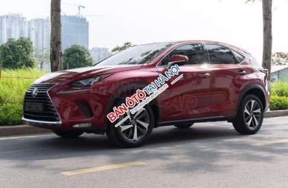 Lexus NX 300 2018 - Màu đỏ, nhập khẩu, chính chủ