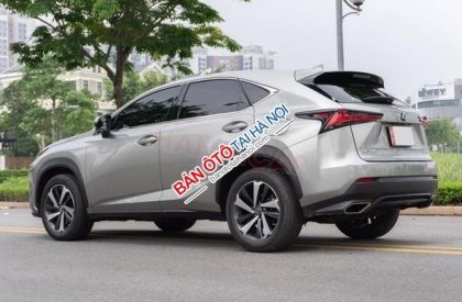 Lexus NX 300 2020 - Màu bạc, nhập khẩu nguyên chiếc