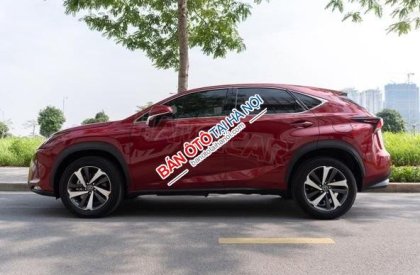 Lexus NX 300 2018 - Màu đỏ, nhập khẩu, chính chủ