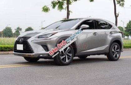 Lexus NX 300 2020 - Màu bạc, nhập khẩu nguyên chiếc