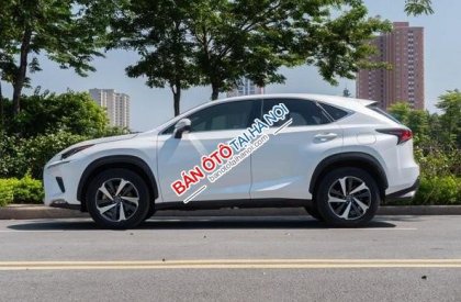 Lexus NX 300 2017 - Xe màu trắng