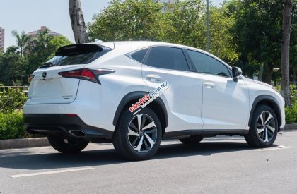 Lexus NX 300 2017 - Màu trắng, nhập khẩu nguyên chiếc đẹp như mới