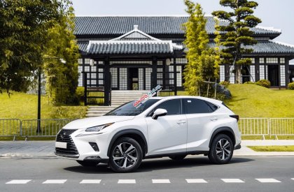 Lexus NX 300 2021 - Chạy cực ít biển tỉnh