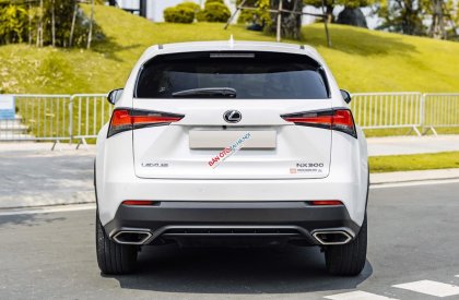 Lexus NX 300 2021 - Chạy cực ít biển tỉnh