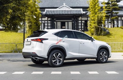 Lexus NX 300 2021 - Chạy cực ít biển tỉnh