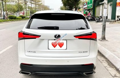 Lexus NX 300 2018 - Màu trắng, nhập khẩu