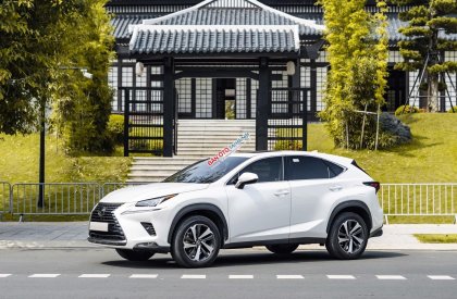 Lexus NX 300 2021 - Chạy cực ít biển tỉnh