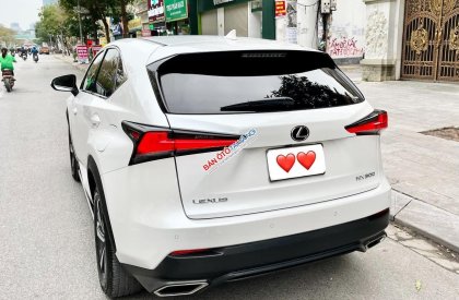 Lexus NX 300 2018 - Màu trắng, nhập khẩu