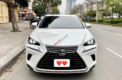 Lexus NX 300 2018 - Màu trắng, nhập khẩu