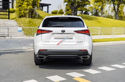 Lexus NX 300 2021 - Cần bán gấp xe 