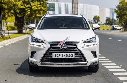 Lexus NX 300 2021 - Cần bán gấp xe 