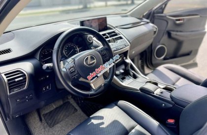 Lexus NX 300 2020 - Màu xám, xe nhập