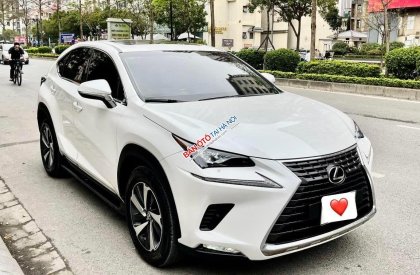 Lexus NX 300 2018 - Màu trắng, nhập khẩu