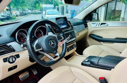 Mercedes-Benz GLE 43 2018 - Xe đăng ký 2019