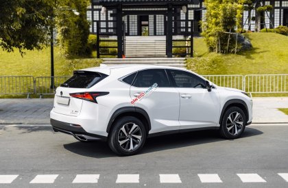 Lexus NX 300 2021 - Cần bán gấp xe 