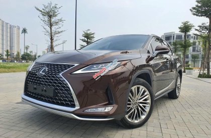 Lexus RX 300 2021 - Xe màu nâu nội thất da bò huyền thoại