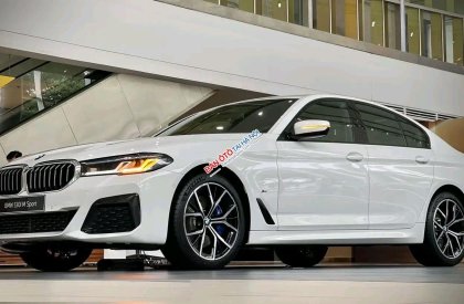 BMW 530i 2022 - Dòng xe sang trọng đẳng cấp