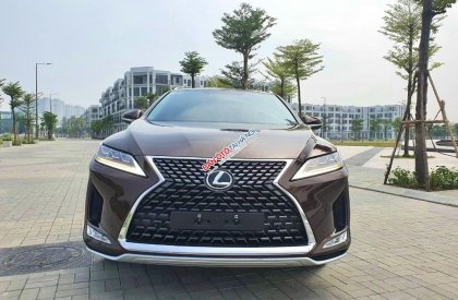 Lexus RX 300 2021 - Xe màu nâu nội thất da bò huyền thoại