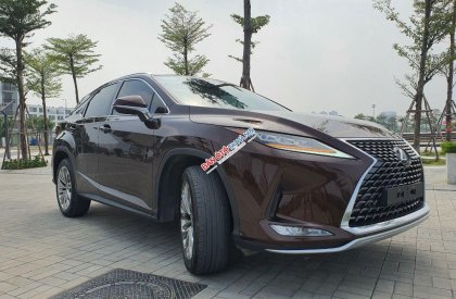 Lexus RX 300 2021 - Xe có full lịch sử bảo dưỡng hãng