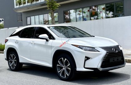 Lexus RX 300 2018 - Sang trọng hiện đại