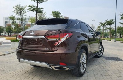 Lexus RX 300 2021 - Xe có full lịch sử bảo dưỡng hãng