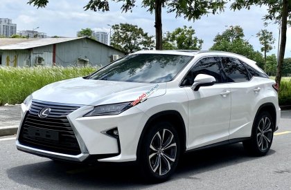 Lexus RX 300 2018 - Sang trọng hiện đại