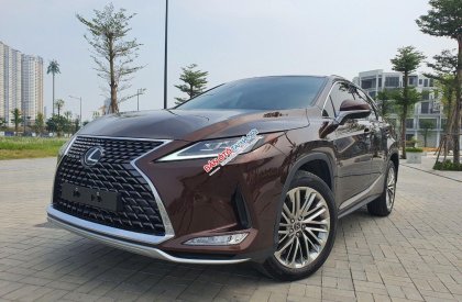 Lexus RX 300 2021 - Xe có full lịch sử bảo dưỡng hãng