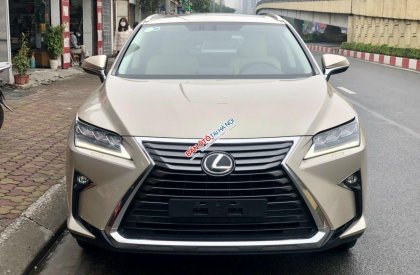 Lexus RX 300 2018 - Màu vàng cát, nhập khẩu