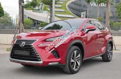 Lexus NX 300 2018 - Màu đỏ, nhập khẩu nguyên chiếc