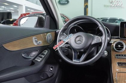 Mercedes-Benz C 250 2017 - Màu nâu