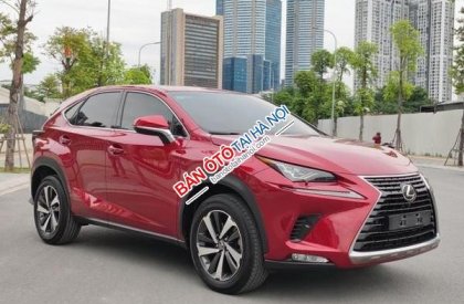 Lexus NX 300 2018 - Màu đỏ, nhập khẩu nguyên chiếc