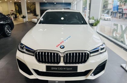 BMW 530i 2022 - Xe sẵn giao ngay