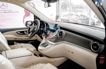 Mercedes-Benz V250 2022 - Xe siêu hot nhập khẩu nguyên chiếc