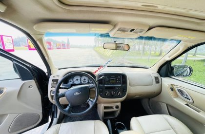 Ford Escape 2006 - Ford Escape 2006 số tự động